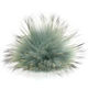 Lana Grossa Bont Pompon Finnraccoon | 603-jade