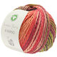 Lana Grossa A MANO (Linea Pura) | 10-zalm/violet/groen/bes/donker bruin/koraal