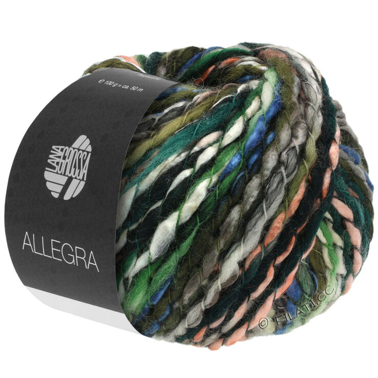Lana Grossa ALLEGRA | 01-grijs/rose/blauw/groen/wit