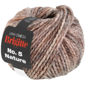 Lana Grossa BRIGITTE NO. 5 Nature | 104-bruin/beige gemêleerd
