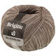Lana Grossa BRIGITTE Silkdream | 04-grijs beige