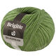 Lana Grossa BRIGITTE Silkdream | 19-groen