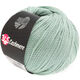 Lana Grossa 365 CASHMERE | 13-munt