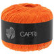 Lana Grossa CAPRI | 24-oranje