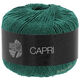 Lana Grossa CAPRI | 28-sparren groen