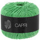 Lana Grossa CAPRI | 44-appel groen