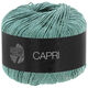Lana Grossa CAPRI | 45-Damast groen