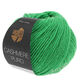 Lana Grossa CASHMERE PURO | 14-groen