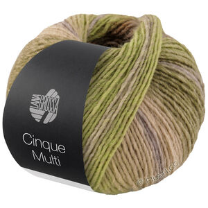 Lana Grossa CINQUE MULTI | 26-grijs groen/braam/sering/rozenhout/mosterd gemêleerd