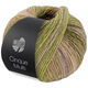 Lana Grossa CINQUE MULTI | 26-grijs groen/braam/sering/rozenhout/mosterd gemêleerd