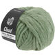 Lana Grossa CLOUD | 23-groen