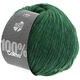 Lana Grossa COLMO | 11-groen