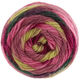 Lana Grossa COLORATO Aktion | 02-bes/licht olijf/framboos/bordeaux/bos groen/braam