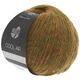 Lana Grossa COOL AIR | 14-groen/bruin