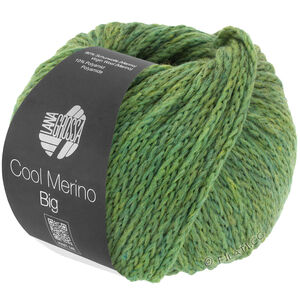 Lana Grossa COOL MERINO Big | 204-groen