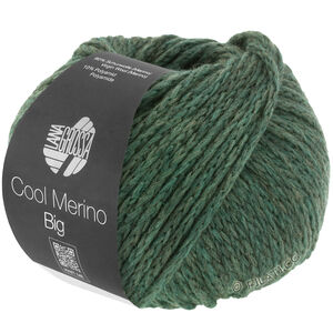 Lana Grossa COOL MERINO Big | 205-mosgroen