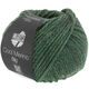 Lana Grossa COOL MERINO Big | 205-mosgroen