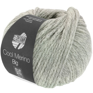 Lana Grossa COOL MERINO Big | 218-licht grijs