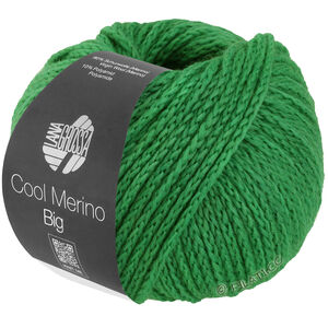 Lana Grossa COOL MERINO Big | 226-lente groen