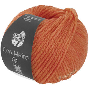Lana Grossa COOL MERINO Big | 236-zalmrood
