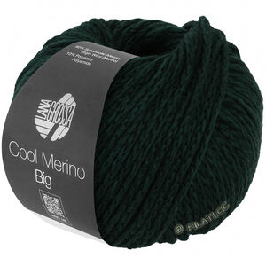 Lana Grossa COOL MERINO Big | 238-sparren groen