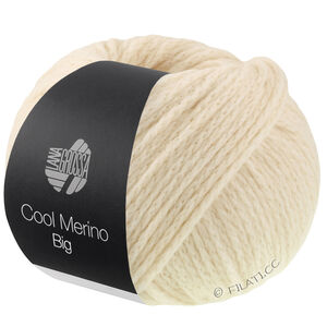 Lana Grossa COOL MERINO Big | 241-schelp