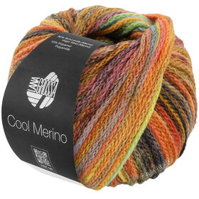 COOL MERINO Color van Lana Grossa