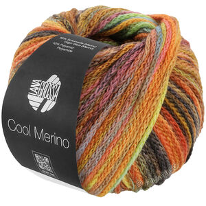 Lana Grossa COOL MERINO Color | 313-bruin/geel/oranje/grijs groen/appel groen/flessegroen/jade/omber/roest/heide/framboos