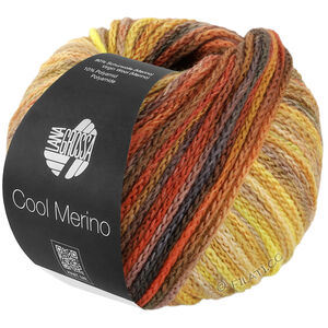 Lana Grossa COOL MERINO Color | 314-kameel/omber/roest/geel/beige/taupe/noga