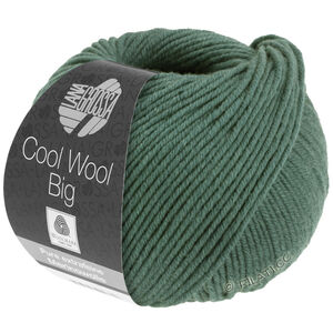Lana Grossa COOL WOOL Big  Uni/Melange | 1004-mosgroen