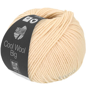 Lana Grossa COOL WOOL Big  Uni/Melange | 1016-schelp