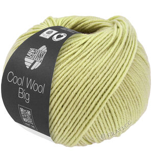 Lana Grossa COOL WOOL Big  Uni/Melange | 1029-Berkengroen