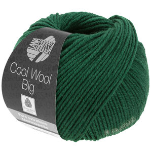 Lana Grossa COOL WOOL Big  Uni/Melange | 0949-flessegroen