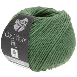 Lana Grossa COOL WOOL Big  Uni/Melange | 0967-resedagroen