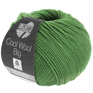 Lana Grossa COOL WOOL Big  Uni/Melange | 0997-bladgroen