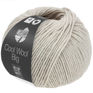 Lana Grossa COOL WOOL Big Mélange (We Care) | 1691-grège gemêleerd