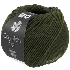 Lana Grossa COOL WOOL Big Mélange (We Care) | 1695-loden groen gemêleerd