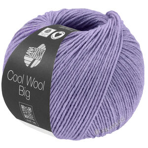 Lana Grossa COOL WOOL Big Mélange (We Care) | 1698-paars gemêleerd