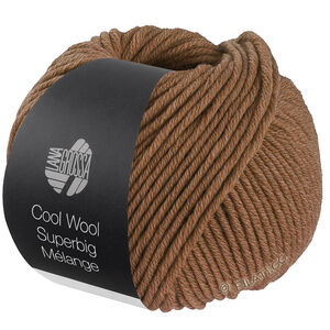 Lana Grossa COOL WOOL Superbig Mélange | 229-noga gemêleerd