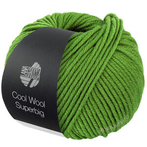 Lana Grossa COOL WOOL Superbig | 25-meigroen