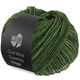 Lana Grossa COOL WOOL Superbig Vintage | 7292-grasgroen