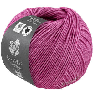 Lana Grossa COOL WOOL Vintage | 7389-felroze