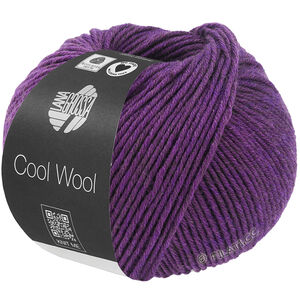 Lana Grossa COOL WOOL Mélange (We Care) | 1499-violet gemêleerd