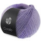 Lana Grossa CORALLO 100g | 08-sering/lavendel/grijs paars