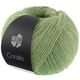 Lana Grossa CORALLO 100g | 09-grijs groen/salie groen/resedagroen