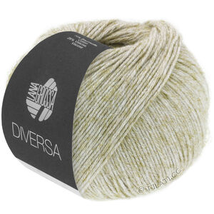 Lana Grossa DIVERSA | 07-natuur