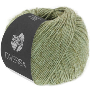 Lana Grossa DIVERSA | 10-grijs groen