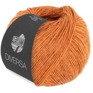 Lana Grossa DIVERSA | 21-oranje