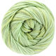 Lana Grossa ECCO | 003-licht groen