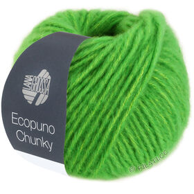 ECOPUNO Chunky van Lana Grossa